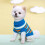 Gestrickter Haustierpullover mit Rollkragen – 2-beiniges Design 2