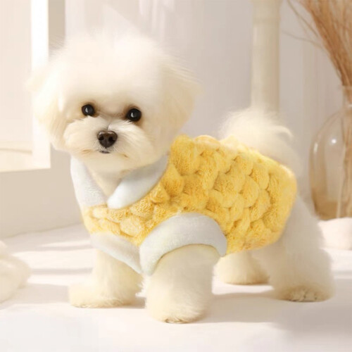 Gelbe winddichte Hundewinterjacke XL 1