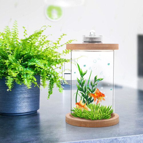 Aquário de vidro com LED e base de madeira de pinho 1