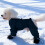 Macacão de neve impermeável para cães com botas e suspensórios integrados. 5