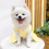 Prinsesse Tutu Nederdel til Hunde – Polyester, Forår/Sommer 5