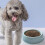 Tigela de plástico para animais de estimação, própria para alimentos, espessa e antiderrapante, 1 unidade de 8,3 polegadas (21 cm). 2