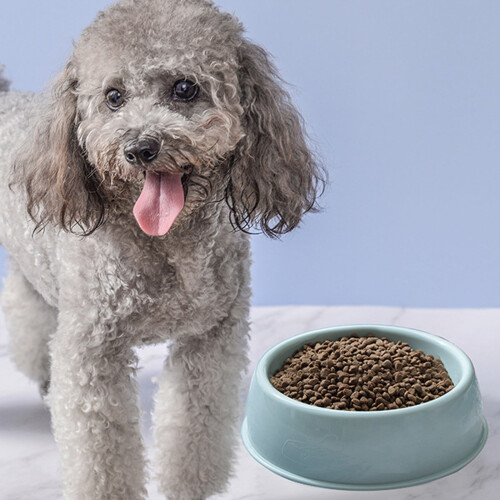Tigela de plástico para animais de estimação, própria para alimentos, espessa e antiderrapante, 1 unidade de 8,3 polegadas (21 cm). 1