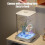 Mini-desktopaquariumset – PVC-kubustank met LED-verlichting 4