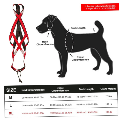 Imbracatura a X per cani da slitta e mushing 2