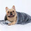 Κουβέρτα για κατοικίδια με φανέλα και κουκκίδες, μπλε, 23x16 ίντσες 5