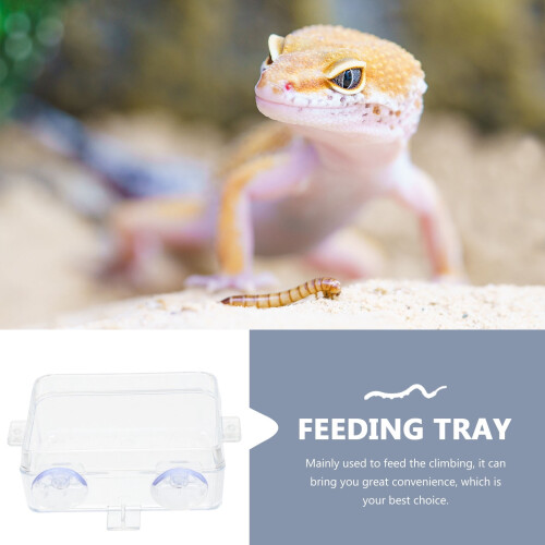 Juego de 2 comederos de plástico transparente para reptiles 2