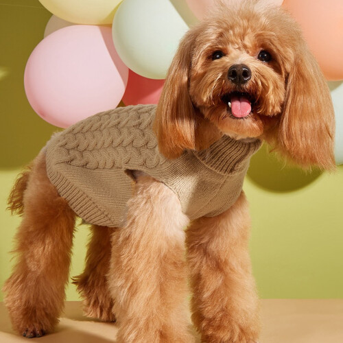 Zopfstrickpullover für kleine Hunde, Schwarz L 2