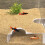 Akvariumornament3D-printet undervandsgrottelandskab 4