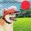 Fleece-baseballcaps til hund med ørehull for små hunder 3