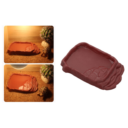 Bebedouro para répteis com escada de pedra antiderrapante 1