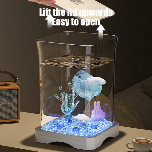 Kit acquario da tavolo autopulente con luce LED 2