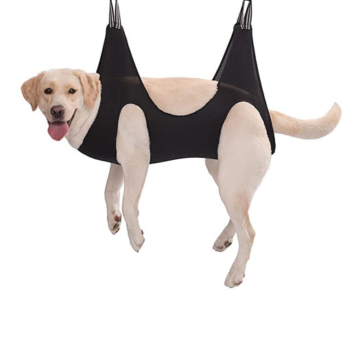 Arnés para el cuidado y corte de uñas de perros – Talla extragrande 1