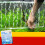 Transparent akvariumbubbelremsa för syresättning 2