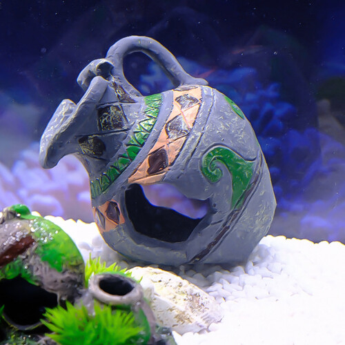 Garnelenzuchtglas als dekoratives Element im Aquarium, das als Unterschlupf dient und 2