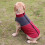 Reflective Waterproof Dog Coat Winter Warm Small Medium 4