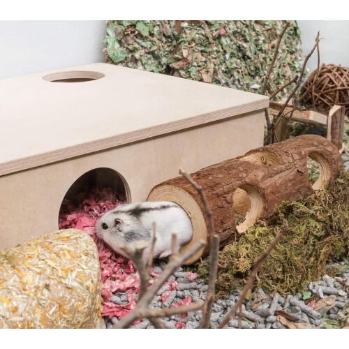 Trähamstertunnelleksak skogsträdstam 2