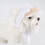 Sun Protective Dog Straw Hat with Adjustable Strap and 4