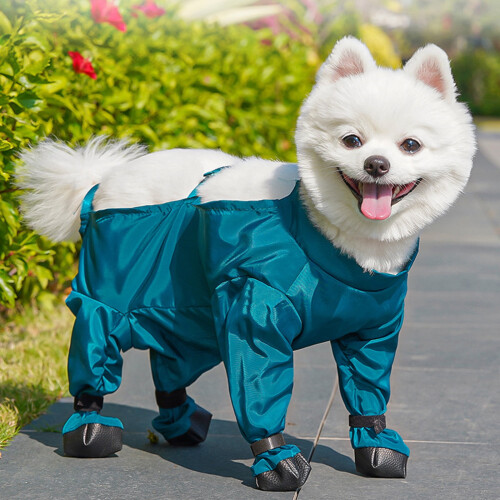 Botas impermeáveis com suspensórios para cães de pequeno e médio porte. 1