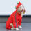 Dog Raincoat Warm Waterproof with Hood Reflective Strips 4