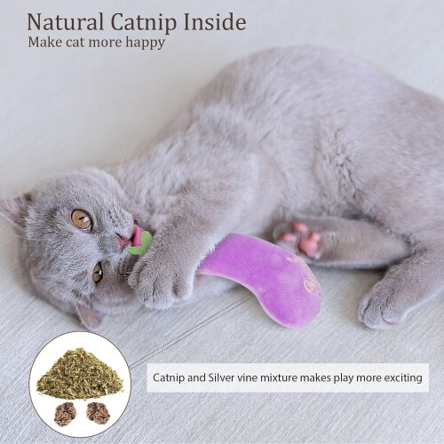 Παιχνίδια λαχανικών Catnip για γάτες – Σετ μαλακών μασώμενων τροφών 5 τεμαχίων 1