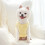 Suéter polar para perros pequeños y medianos. 5