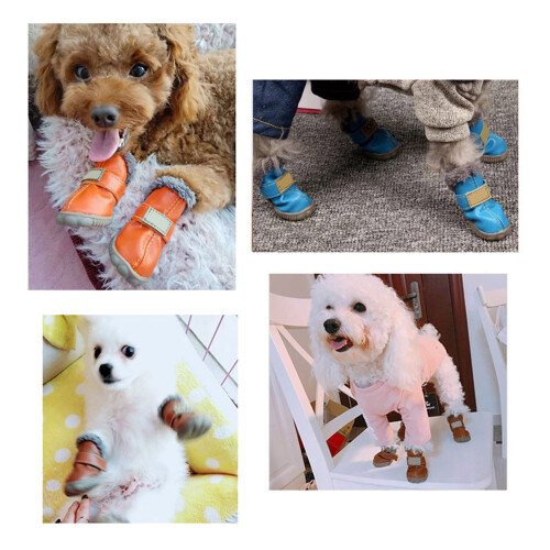 Bottes imperméables pour petits chiens – Lot de 4, chaudes 2