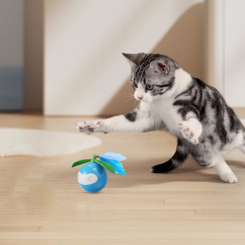 Interactive Cat Toy Ball with Feathers & Bells 1