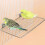 Stainless Steel Bird Perch Platform for Parrots 1pc 3