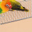 Stainless Steel Bird Perch Platform for Parrots 1pc 5