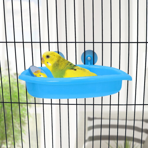 Wontee Bird Bath Box with Mirror – Translucent Plastic, 1