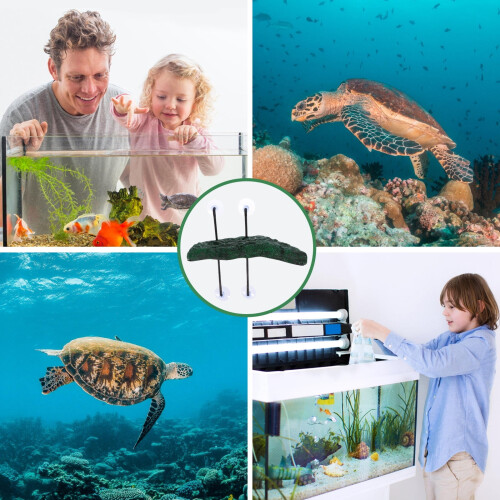 Plataforma flutuante de espuma para tartarugas tomar sol com ventosa 1