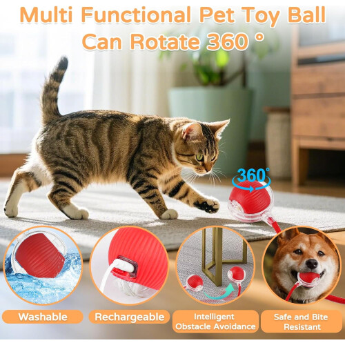 Goosheep 2-Pack Interactive Cat Ball Toy 1