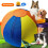 Hundehüteball-Abdeckung, interaktives aufblasbares-55cm 3