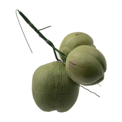 Decoração artificial de coco – Coco tropical de plástico realista