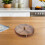 Rustic Wooden Snack Tray with Compartments and Transparent Lid 10