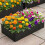Robustes Gartenbeet-Einlagen-Set mit Clips für die-Quadrat 5