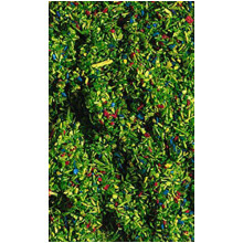 FALLER Flowery Meadow Scatter Material (30g) HO Gauge 170710