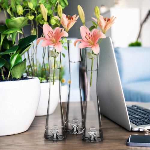 3er-Set Glasvasen – Minimalistisch Transparent 1