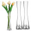 3er-Set Glasvasen – Minimalistisch Transparent 4