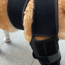 Hundekniebandage Größe M, Schwarz Nylon/PU, verstellbar