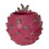 Sukkulenten-Töpfe mit Drainage, Pitaya-Übertopf, Blumentopf-groß 1