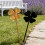 Vierblättriges Kleeblatt im Retro-Stil, Gartenstecker,-Rostfarbe 7