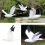 Statue de mouettes à plumes en mousse résistante aux-S 4