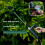 Outil d'irrigation de jardin à trois modes avec batterie-3 7