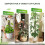 Portable Plastic Vine Support Rod 16in Moss Poles For Home-A 6