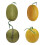 Authentisch aussehende Honeydews-Repliken,-Gelbe Runde 2