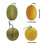 Authentisch aussehende Honeydews-Repliken,-Gelbe Runde 3