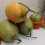 Authentisch aussehende Honeydews-Repliken,-Gelbe Runde 6