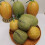 Authentisch aussehende Honeydews-Repliken,-Gelbe Runde 7